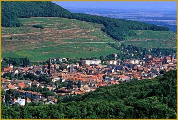 Appartement Avec Terrasse Entre Vignes, Balades, Alsace Guebwiller Bagian luar foto