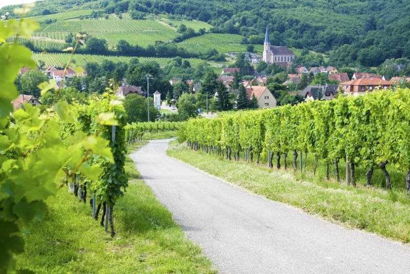Appartement Avec Terrasse Entre Vignes, Balades, Alsace Guebwiller Bagian luar foto